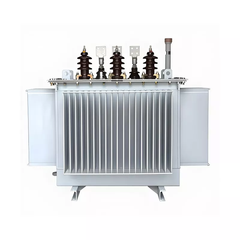 100KVA 20KV trifazis alyvos transformatorius