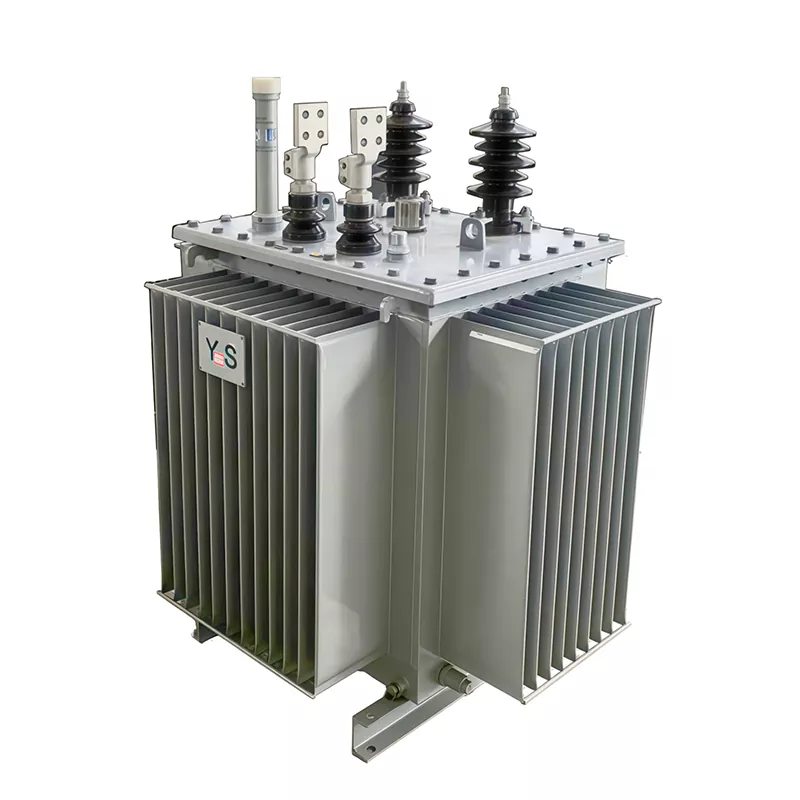 180KVA 19KV vienfazis panardinamasis transformatorius