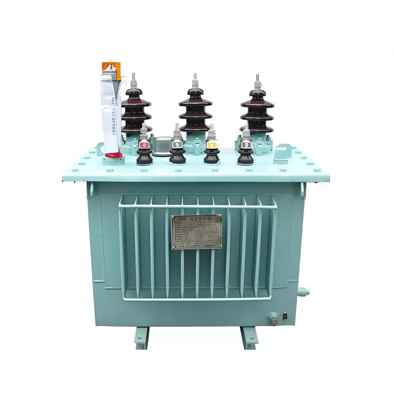 25KVA 6KV panardinamasis transformatorius
